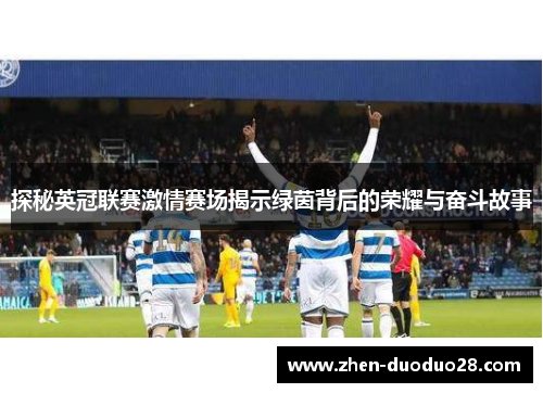 探秘英冠联赛激情赛场揭示绿茵背后的荣耀与奋斗故事