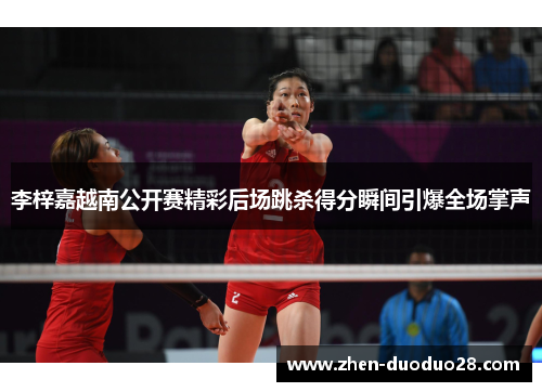 李梓嘉越南公开赛精彩后场跳杀得分瞬间引爆全场掌声