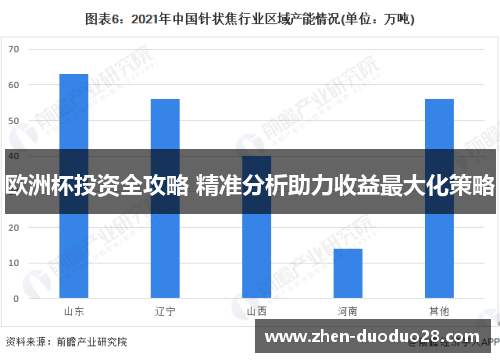 欧洲杯投资全攻略 精准分析助力收益最大化策略